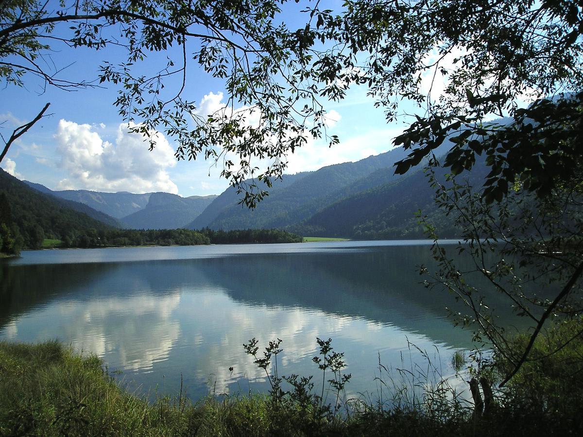 פאיסטנאו Appartements Ferienwohnungen Alpenblick מראה חיצוני תמונה